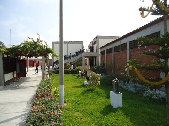 Descripción de la imagen